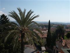 Der Blick ?ber die S?dfranz?sische Parf?mstadt Grasse, vorbei an einer Palme